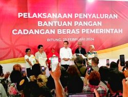 Dampak Elnino Pacu Fluktuasi Pangan, Jokowi Tinjau Ketersedian Bantuan Pangan Bulog