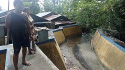 Sungai Tanjung Merah Diduga Dicemari Limbah Produksi Perusahan