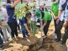 Implementasi Konsep Green Campus, FIP Unima Gelar Penanaman Pohon