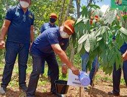 Asisten I Wakili Bupati Minahasa Pada Kegiatan Penanaman 5.000 Pohon