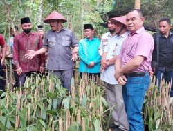 Limi Dorong Pengembangan Vanili Organik di Desa Otam