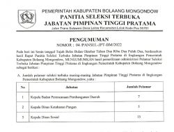 27 Pelamar Seleksi Terbuka JPT Pratama Lingkup Pemkab Bolmong Dinyatakan Memenuhi Syarat, Ini Nama-namanya