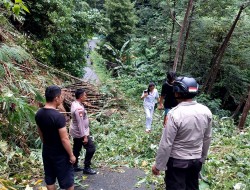 Tanah Longsor di Kampung Kawahang, Palandung Imbau Warga Waspada Melintas