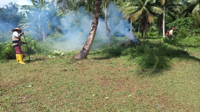 Tindak Lanjut Arahan Gubernur Dan Bupati, Desa Palaes Gerakan Sektor Pertanian