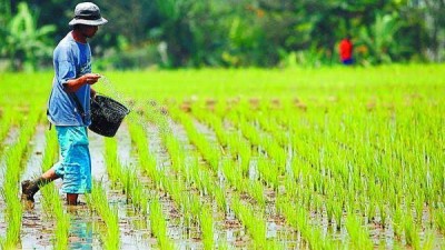 Denny Kalangi Tegaskan Pemerintah Harus Lebih Perhatikan Petani