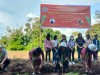Inovasi LPIK Unima, Manfaatkan Lahan 10 Hektare Tanam Sereh Wangi
