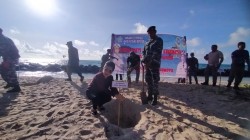 Waspada Ancaman Abrasi, TNI AL Laksanakan Penanaman Mangrove di Pulau Marore