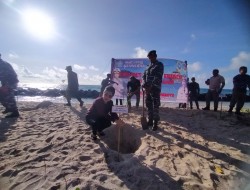 Waspada Ancaman Abrasi, TNI AL Laksanakan Penanaman Mangrove di Pulau Marore