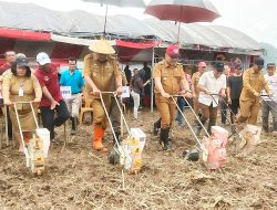 Didampingi Limi, Gubernur Sulut Canangkan Penanaman Jagung dan Holtikultura di Bolmong