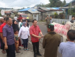 Hari Raya Idul Adha 1444 Hijriah, Walikota Caroll Senduk Serahkan Hewan Kurban