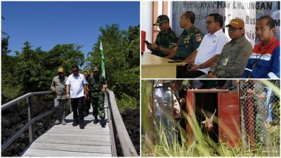 Ajak Warga Mencintai Satwa Liar, Maurits Mantiri Bersama Stakeholder Lepas Rusa Timor di TWA Batuangus