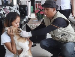 Cegah Kasus Positif Rabies, Anjing Peliharaan Divaksinasi