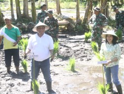 Tingkatkan Ketahanan Pangan, Pj Bupati Sangihe Albert Wounde Hadiri Penanaman Padi Sawa di Kampung Kalekube 