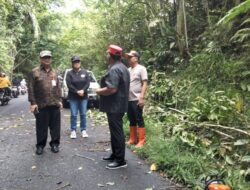 Tinjau Pohon Tumbang, Bupati RD Berikan Semangat kepada BPBD Bersihkan Ranting Pohon di Ruas Jalan Tondano–Remboken