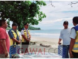 Sebesar 29 Miliar Proyek Pengaman Pantai Batu Pinagut Mulai Dikerjakan Tahap II