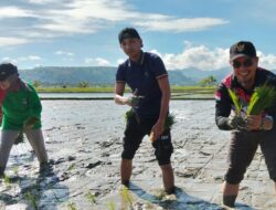 SJL-MAP Canangkan Program Tanam Padi Lokal di Desa Sonuo