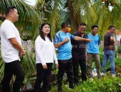 ZWEMBAD SITARO DIBERSIHKAN: JEJAK BERSEJARAH DIMULAI KEMBALI