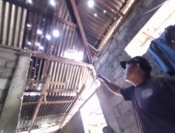 Viral di Medsos, BPBD Sitaro Klarifikasi Bantuan Stimulan Rp31,9 Miliar