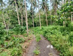 Swasembada Pangan ‘Mengintai’ Peternak di Bitung Desak Perbaikan Akses Jalan