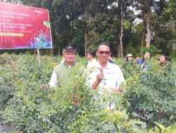 RPKT Bangkitkan Ekonomi Desa: 105 Pemuda Kelola 7 Hektar Lahan, BI Sulut Beri Dukungan Penuh