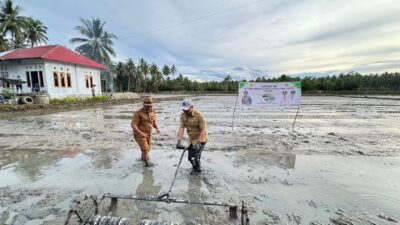 Bupati Sirajudin Tanam Benih Padi IPB 9G di Busisingo, Boltara Jadi Percontohan Pertanian Modern Sulut