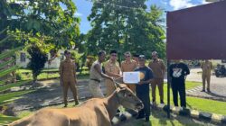 Bupati Sirajudin Lasena Serahkan Bantuan Hewan Qurban untuk Tiga Desa di Boltara